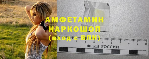 прущие грибы Покачи