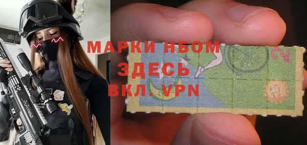 прущие грибы Покачи