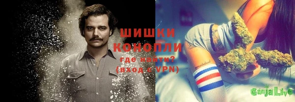 амф Алзамай