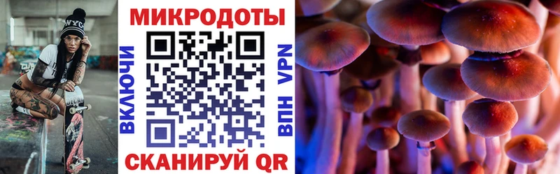 darknet клад  где найти наркотики  Мураши  Псилоцибиновые грибы мицелий 